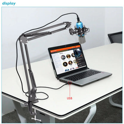Microphone Set with Blue Stand, Connects to Computer